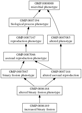 OMP:0006169