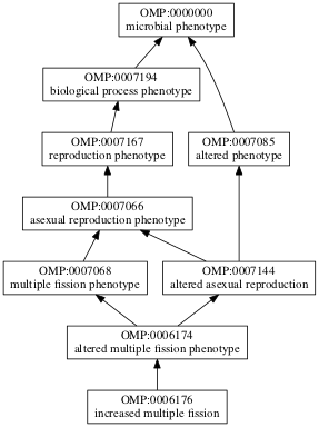 OMP:0006176