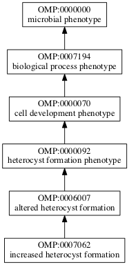 OMP:0007062