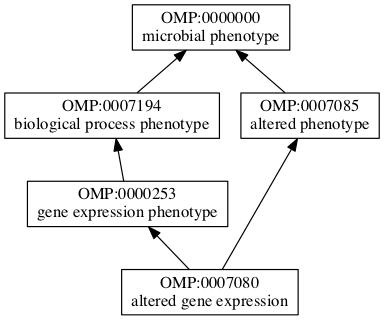 OMP:0007080