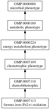 OMP:0007113