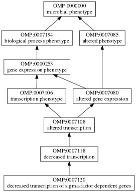 OMP:0007120