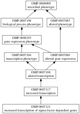 OMP:0007121
