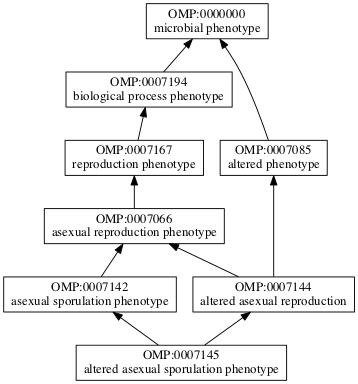 OMP:0007145