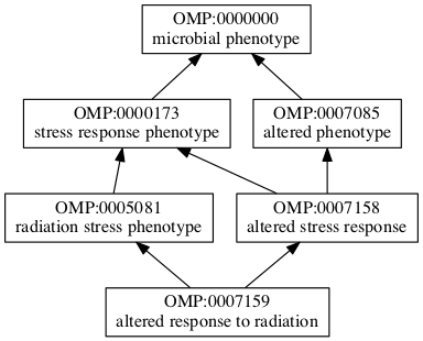 OMP:0007159