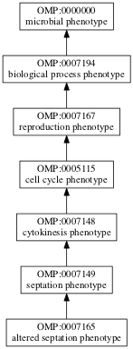 OMP:0007165