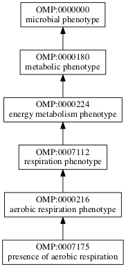 OMP:0007175