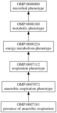 OMP:0007181