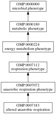 OMP:0007183