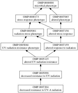 OMP:0007204