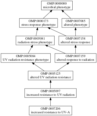 OMP:0007206