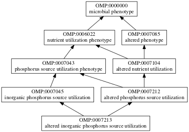 OMP:0007213