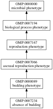 OMP:0007234