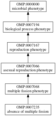 OMP:0007235