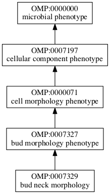 OMP:0007329