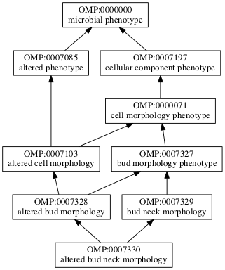 OMP:0007330