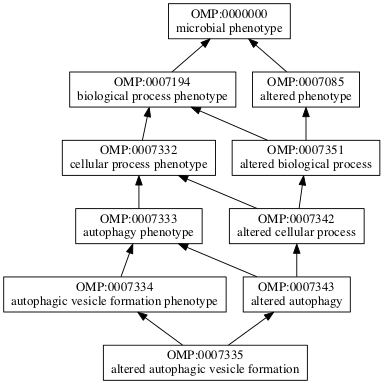 OMP:0007335