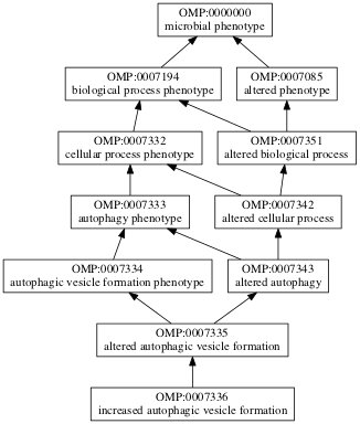OMP:0007336