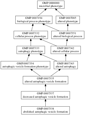 OMP:0007338