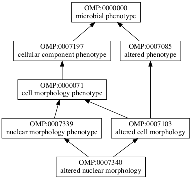 OMP:0007340