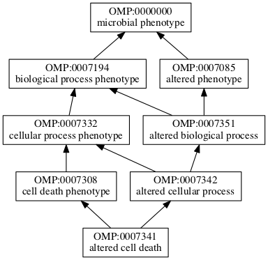 OMP:0007341