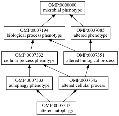 OMP:0007343