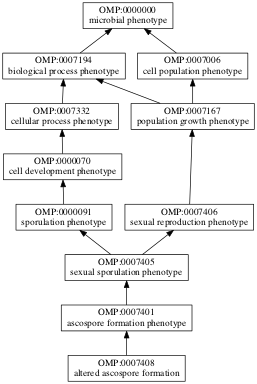 OMP:0007408