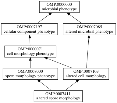 OMP:0007411