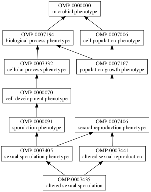 OMP:0007435