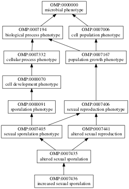 OMP:0007436