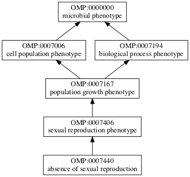 OMP:0007440