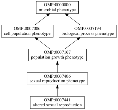 OMP:0007441