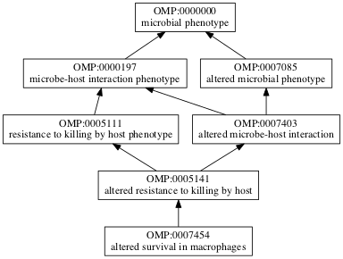 OMP:0007454