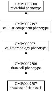 OMP:0007507