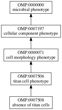 OMP:0007508