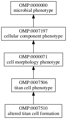 OMP:0007510