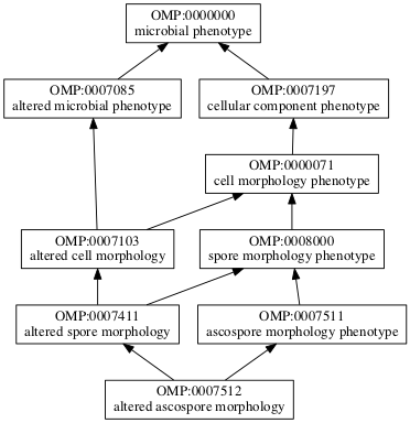 OMP:0007512