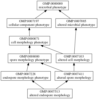 OMP:0007513