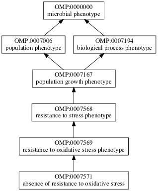 OMP:0007571