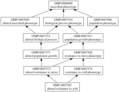 OMP:0007582