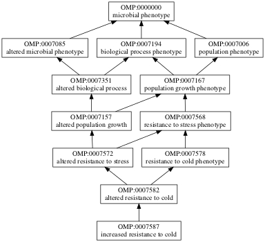 OMP:0007587