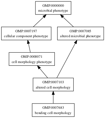 OMP:0007683