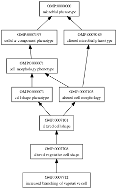 OMP:0007712