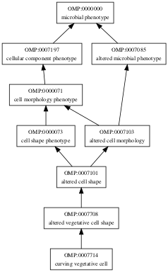 OMP:0007714