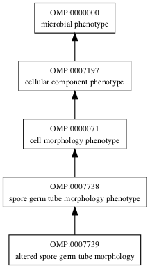 OMP:0007739