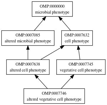OMP:0007746