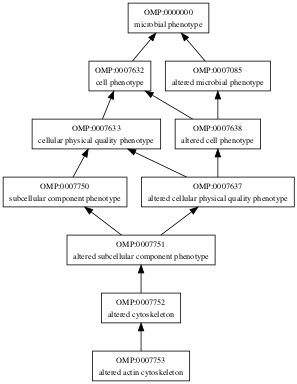 OMP:0007753