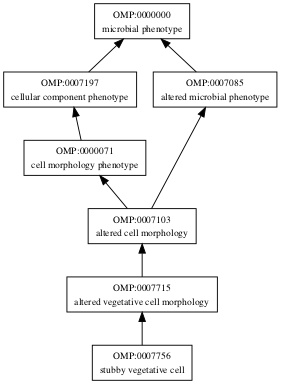 OMP:0007756