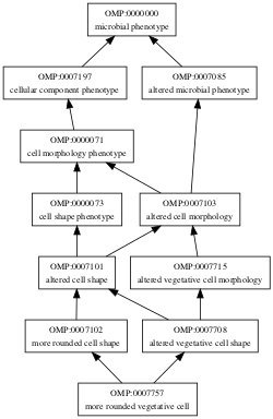 OMP:0007757