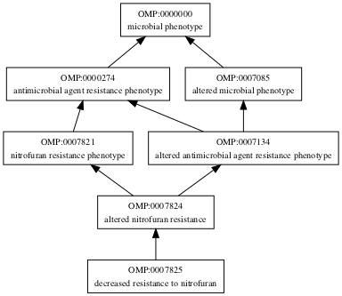 OMP:0007825
